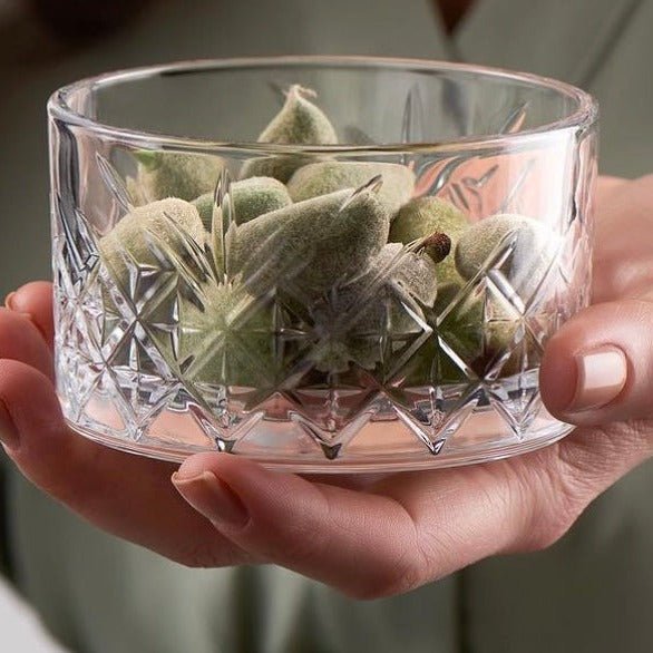 4er Set 'Timeless' Schale (⌀ 9cm) - Namsalhome